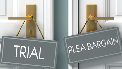 plea bargain or trial as a choice in life - pictured as words trial, plea bargain on doors to show that trial and plea bargain are different options to choose from, 3d illustration