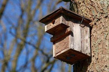 Vogelhaus aus Holz an einem Baumstamm, Blauer Himmel, Deutschland