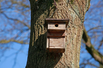 Vogelhaus aus Holz an einem Baumstamm, Blauer Himmel, Deutschland