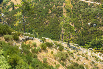 Serra da Estrela