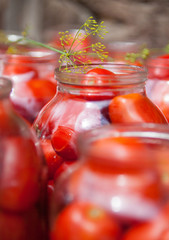 Pickling (canning) the tomatoes.