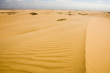 scenic landscape at namibian desert