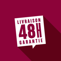 livraison 48h garantie, vecteur illustration