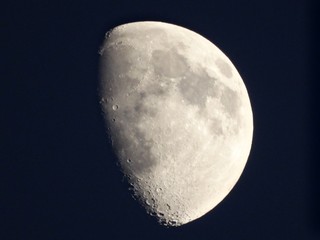 moon in the night