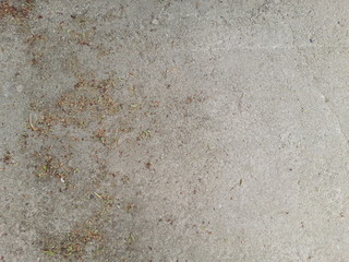 concrete on small leaves simple texture