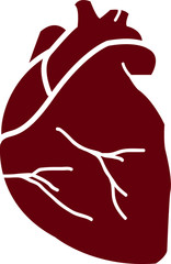 Human heart medical vector icon