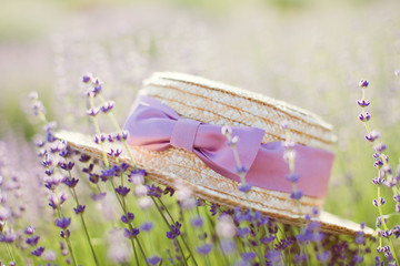 Straw hat with purple ribbon and bow laying on lavender flowers