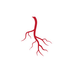 human veins, red blood vessels design and arteries Vector illustration isolated