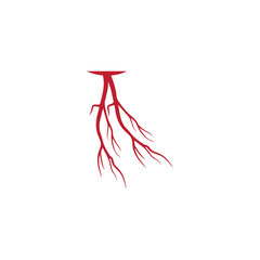 human veins, red blood vessels design and arteries Vector illustration isolated