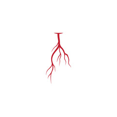 human veins, red blood vessels design and arteries Vector illustration isolated