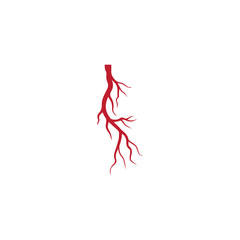 human veins, red blood vessels design and arteries Vector illustration isolated