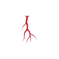 human veins, red blood vessels design and arteries Vector illustration isolated