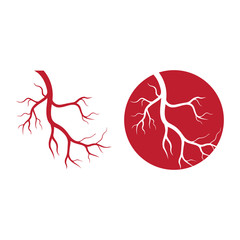 human veins, red blood vessels design and arteries Vector illustration isolated