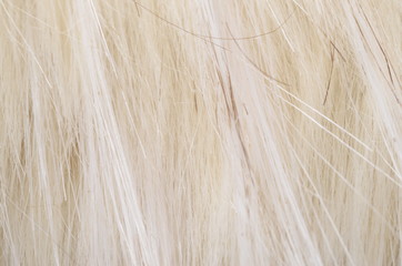 Hair background texture