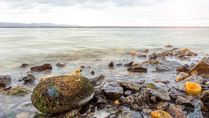 spherical cladophore. The Linnaeus Aegagropilalies on land along the coast. spherical moss lies on the lake among small stones . small stones piled up along the shore.