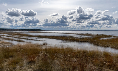 flooded lake shore, overgrown with last year's reeds and bushes, bird migration, beautiful cumulus clouds