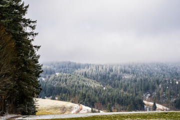 Germany, White snow covered untouched nature landscape of black forest trees in winter season with moving shadows