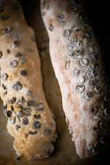 rustic italian black olive ciabatta bread