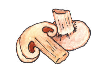 watercolor illustration of champignon mushroom on a white background