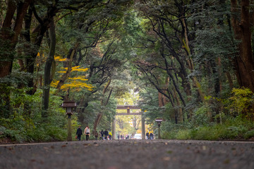 Long walking path in the Meiji Jingu shrine garden 