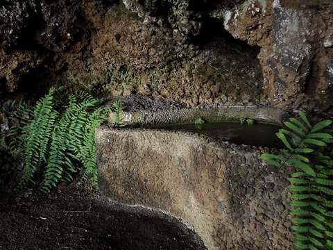 fuentes naturales en parques 