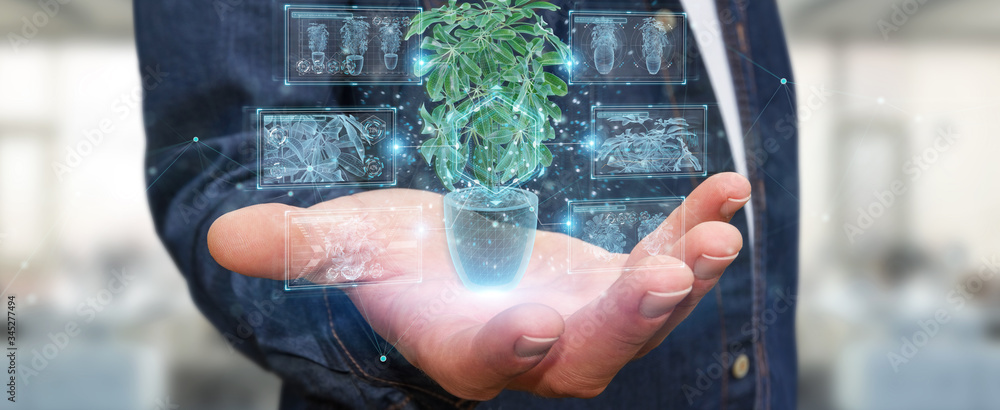 Leinwandbilder man holding and touching holographic projection of a plant with digital analysis 3d rendering