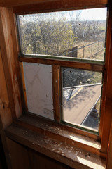Window with flies in the attic