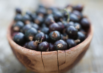 Black currant berries