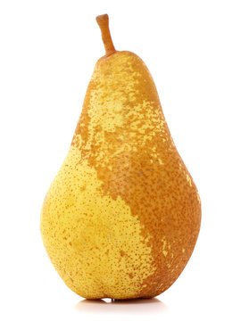 Abate Fetel pear isolated on white
