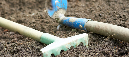 A dirty rake against the background of a hoe in the ground in a blur.