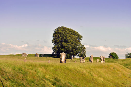 Stones in a field, Avebury Stone Circle, Avebury, Wiltshire, England