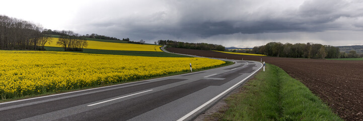 Flowering rapeseed field next to a winding road in the mountains with dramatic clouds in the background