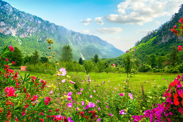 National park Montenegro