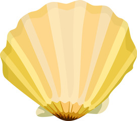 sea shell at beach