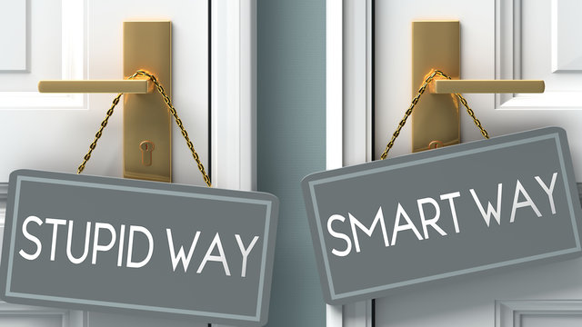 Smart Way Or Stupid Way As A Choice In Life - Pictured As Words Stupid Way, Smart Way On Doors To Show That Stupid Way And Smart Way Are Different Options To Choose From, 3d Illustration