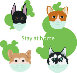 set of dogs on self-isolation