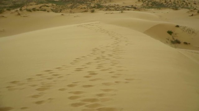 Footprints of a man and a camel in a mountain of sand wild nature. Barkhan sarykum is a desert in the steppe.