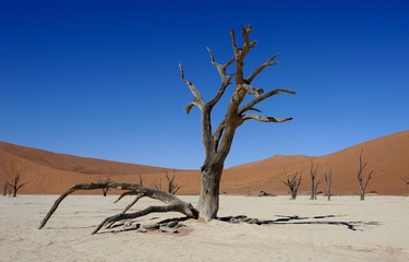 Sossusvlei dunes