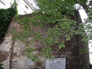 The Holocaust the Shoah World War 2