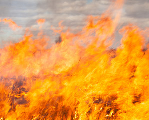 Big fire in the field