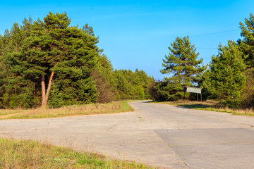 Fototapeta na wymiar Asphalt road through green pine forest at summer