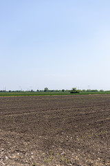 Landscape view of agriculture crop fields on a sunny day with beautiful blue sky.
