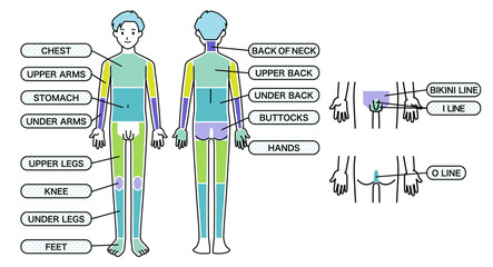 男性 脱毛箇所 体
