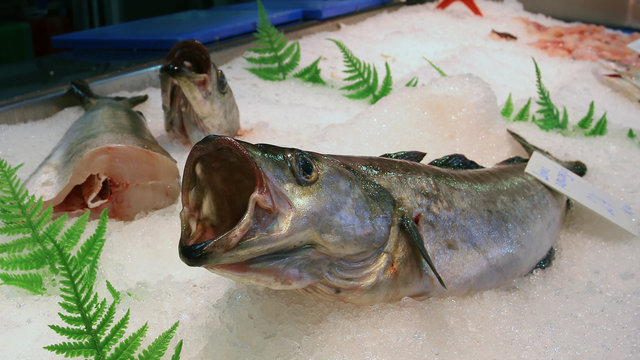 Abadejo, Mercado de La Esperanza en Santander, Cantabria, Espa&ntilde;a
