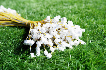 Wire lead joint with yellow cable put on green grass