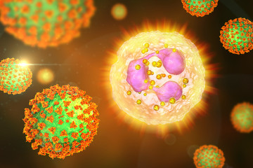 SARS-CoV-2 viruses activating neutrophil