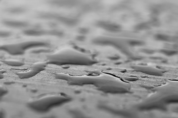 Monochrome close up macro image of rain droplets on wood surface .