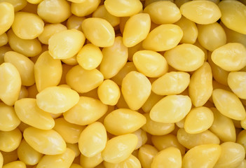 Texture  Ginkgo biloba  isolated on white background