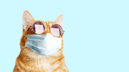 Closeup portrait of ginger cat wearing sunglasses and protective medical mask isolated on light cyan. Copyspace.