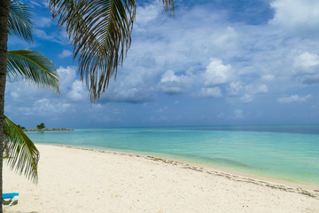 Obraz na płótnie Canvas Wonderful beach palm view on the Bahamas